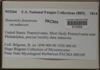 Image Associated With the Occurence